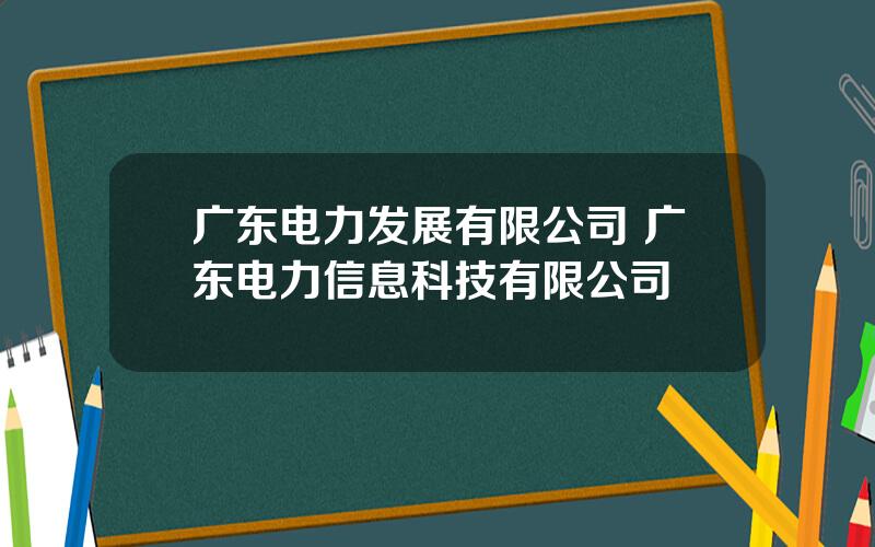 广东电力发展有限公司 广东电力信息科技有限公司